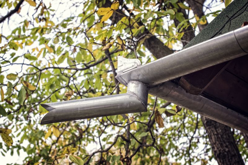 Stainless Steel Gutter Service